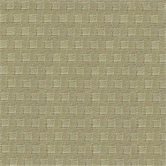 New Shadow Cube Palm